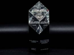 东北再担保公司数字化转型应用系统建设项目荣获2024年IDC（中国）金融行业技术应用场景创新奖