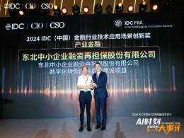 东北再担保公司数字化转型应用系统建设项目荣获2024年IDC（中国）金融行业技术应用场景创新奖